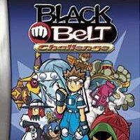 Black Belt Challenge gba download