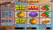 Tiger Hook (Version 2.1E Dual) for mame 