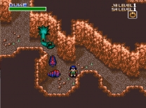 Neugier - Umi to Kaze no Kodou (Japan) snes download