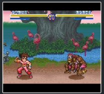 SD Hiryuu no Ken (Japan) snes download