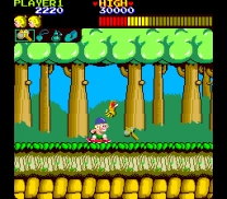 Wonder Boy (prototype?) mame download