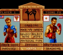 Best of the Best - Championship Karate (USA) snes download