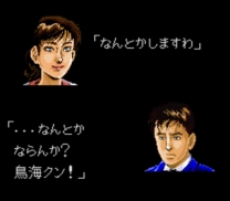 Kachou Shima Kousaku (Japan) snes download