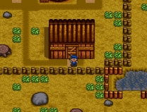 Harvest Moon (Europe) for super-nintendo 