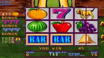 Fruit Bonus '06 - 10th anniversary (Version 1.7R Dual) for mame 