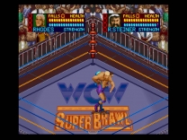 WCW Super Brawl Wrestling (USA) for super-nintendo 