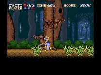 ActRaiser (Japan) for super-nintendo 