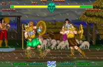 Mighty Warriors for mame 