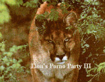 Lion's Porno Party 3 (PD) snes download