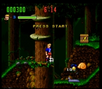 Hurricanes (USA) snes download