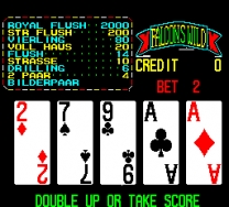 Falcons Wild - Wild Card 1991 (TVG) mame download