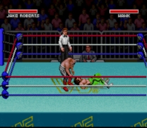 WWF Super WrestleMania (Japan) snes download