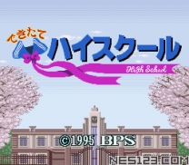 Dekitate High School (Japan) for snes 