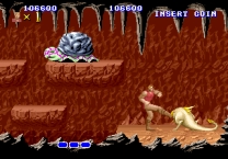Altered Beast (set 8) (8751 317-0078) for mame 