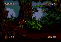 Pitfall - The Mayan Adventure (USA) for snes 