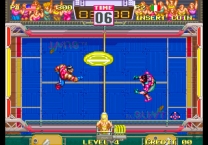 Windjammers / Flying Power Disc for mame 