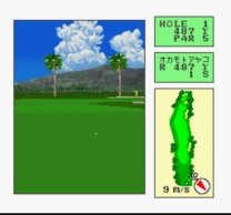 Okamoto Ayako to Match Play Golf - Ko Olina Golf Club in Hawaii (Japan) snes download