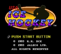 USA Ice Hockey (Japan) (Rev A) for snes 