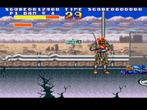 Sengoku Denshou (Japan) for super-nintendo 