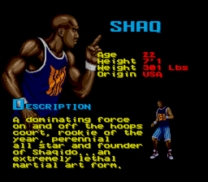 Shaq Fu (USA) (Beta) for snes 