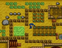 Harvest Moon (USA) for snes 