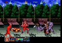 Ninja Combat (NGM-009) for mame 