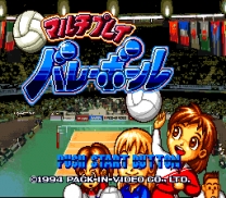 Multi Play Volleyball (Japan) for snes 