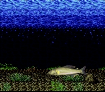 Kawa no Nushi Tsuri 2 (Japan) for super-nintendo 