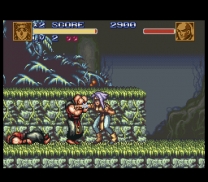 Battle Zeque Den (Japan) snes download