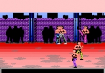 Pit Fighter (Japan rev 3, 2 players) for mame 