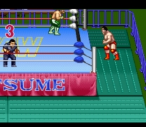 Natsume Championship Wrestling (USA) snes download