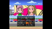 Super Family Circuit (Japan) for snes 