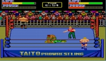 Champion Wrestler (Japan) for mame 