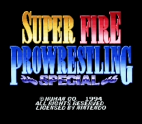 Super Fire Pro Wrestling Special (Japan) (Rev A) snes download