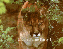 Lion's Porno Party 1 (PD) snes download