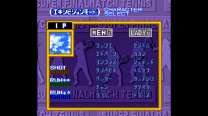 Super Final Match Tennis (Japan) for snes 